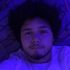 Meet your Posher, Elmer